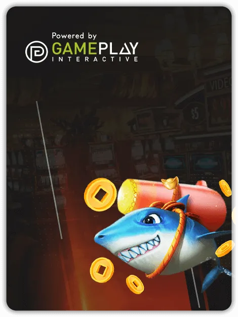 MWIN8 Gameplay Interactive slot banner featuring a cartoon shark with a missile strapped to its back, surrounded by golden coins in a casino backdrop.