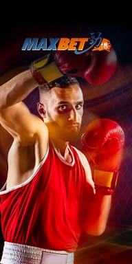 MWIN8 Maxbet sports betting banner featuring a boxer in red gloves and attire, ready for action.